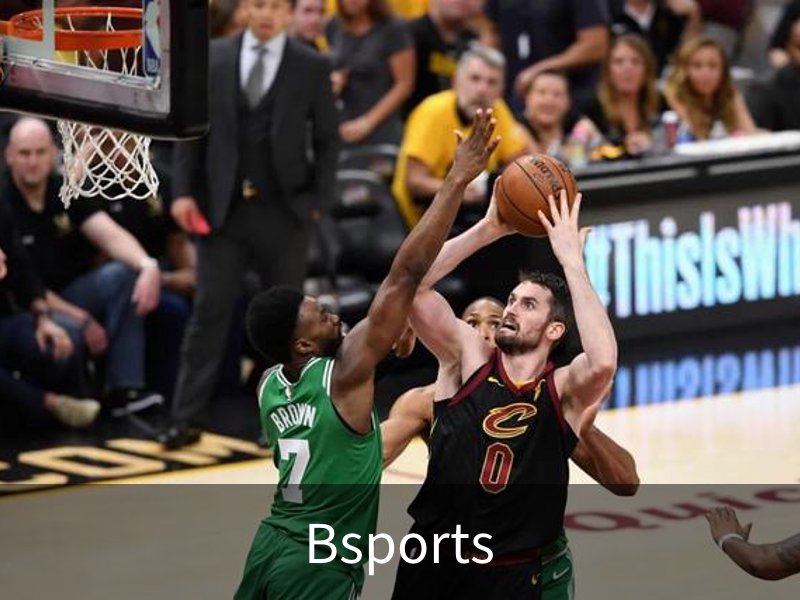 Bsports概况